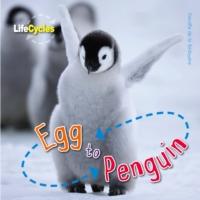 Life Cycles: Egg to Penguin