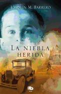 La niebla herida