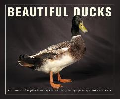 Beautiful Ducks: Portraits of Champion Breeds