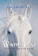 The Winter Pony