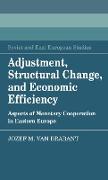 Adjustment, Structural Change, and Economic Efficiency