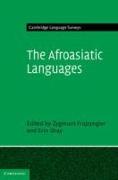 The Afroasiatic Languages