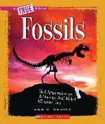 Fossils (a True Book: Earth Science)