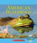 American Bullfrogs