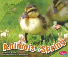 Animals in Spring