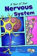 A Tour of Your Nervous System