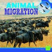 Animal Migration