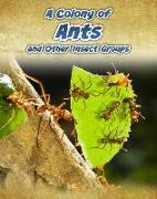 A Colony of Ants: And Other Insect Groups