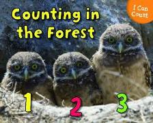 Counting in the Forest