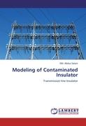 Modeling of Contaminated Insulator