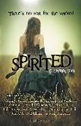 Spirited: 13 Haunting Tales