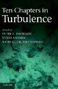 Ten Chapters in Turbulence