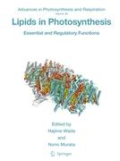 Lipids in Photosynthesis