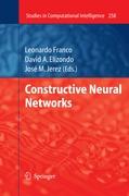 Constructive Neural Networks