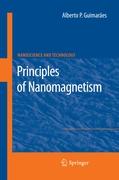 Principles of Nanomagnetism