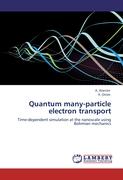 Quantum many-particle electron transport