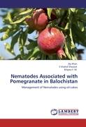 Nematodes Associated with Pomegranate in Balochistan