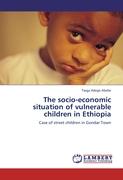 The socio-economic situation of vulnerable children in Ethiopia