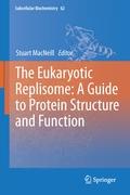 The Eukaryotic Replisome: a Guide to Protein Structure and Function