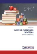 Intrinsic Josephson junctions