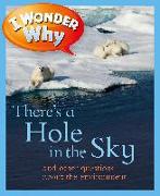 I Wonder Why There's a Hole in the Sky: And Other Questions about the Environment