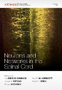 Neurons and Networks in the Spinal Cord