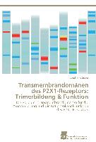 Transmembrandomänen des P2X1-Rezeptors: Trimerbildung & Funktion