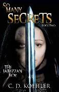 So Many Secrets: The Jabezzan Box Book Two