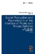 Social Production and Reproduction at the Interface of Public and Private Spheres