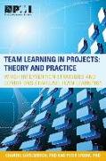 Team Learning in Projects