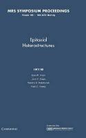 Epitaxial Heterostructures: Volume 198
