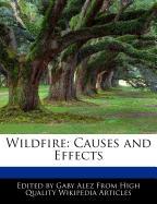 Wildfire: Causes and Effects