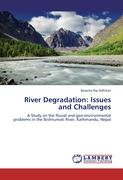 River Degradation: Issues and Challenges