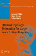 Efficient Topology Estimation for Large Scale Optical Mapping