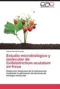 Estudio microbiológico y molecular de Colletotrichum acutatum en fresa