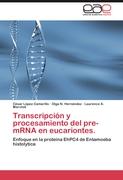Transcripción y procesamiento del pre-mRNA en eucariontes