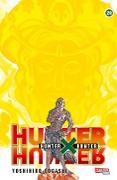 Hunter X Hunter, Band 29