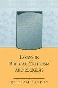 Essays in Biblical Criticism and Exegesis