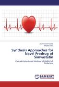 Synthesis Approaches for Novel Prodrug of Simvastatin