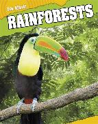 Eco Alert: Rainforests