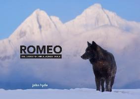 Romeo: The Story of an Alaskan Wolf