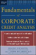 Standard & Poor's Fundamentals of Corporate Credit Analysis