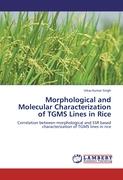 Morphological and Molecular Characterization of TGMS Lines in Rice