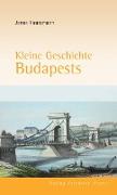 Kleine Geschichte Budapests
