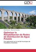 Optimizar la Rehabilitación de Redes de Distribución de Agua Potable