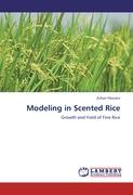 Modeling in Scented Rice