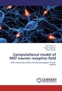 Computational model of MST neuron receptive field