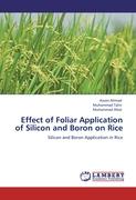 Effect of Foliar Application of Silicon and Boron on Rice