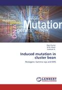 Induced mutation in cluster bean
