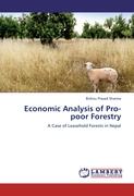 Economic Analysis of Pro-poor Forestry
